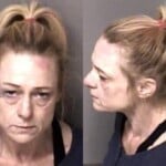 Lisa Land Probation Violation