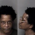 Evelyn Elliott Misd Crime Of Dom Violence Injury Real Property