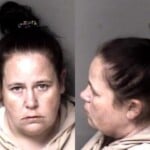 Jessica Franklin Sch Ii Possess Possess Drug Paraphernalia Registration Platecard Expired