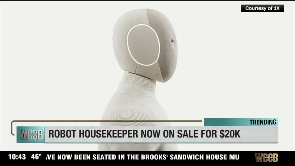 Robot Housekeeper Now On Sale For $20k