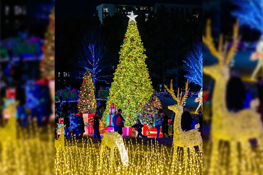 Christmas Tree And Lights