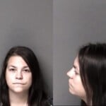 Ashley Williams Domestic Violence Protection Order