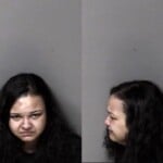 Mary Tench Misd Crime Of Dom Violence Injury Real Property Injury Personal Property Resist Public Officer