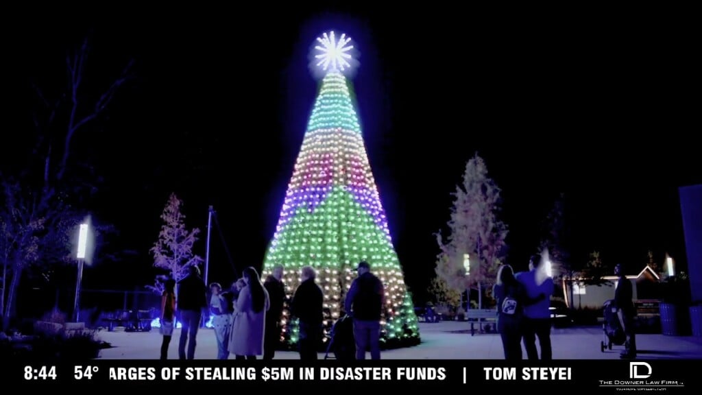 Carolina Insight: Winter Wonderlights