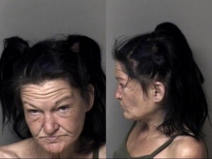 Jamie Drake Second Degree Trespass Curtilage