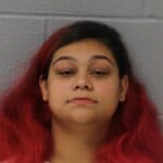 Jazmine Morales Dwlr Not Impaired Rev Failure To Stop Stop Signflashing Red Simple Assault Assault By Pointing A Gun