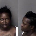 Tabitha Anderson Larceny Misdemeanor Shopliftingconceal Goods