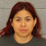 Yesmin Ramirez Simple Assault Domestic Violence