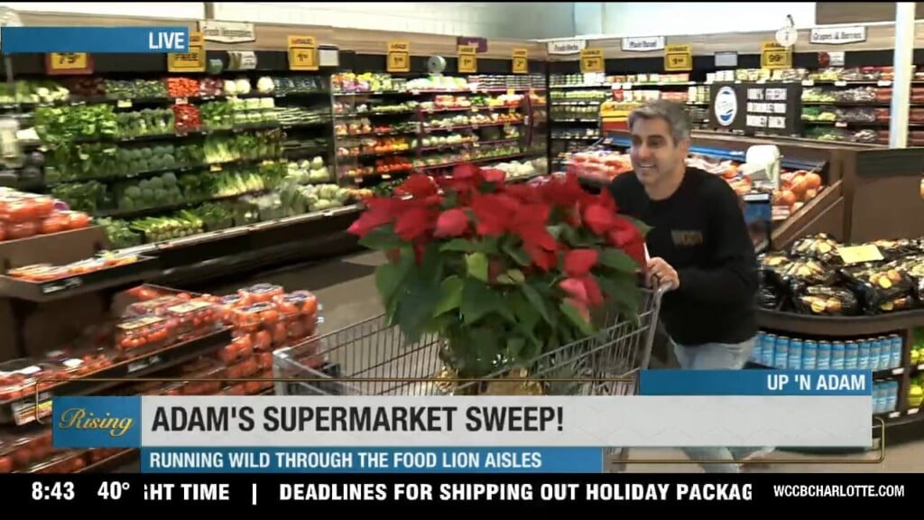 Up 'n Adam: Food Lion Supermarket Sweep