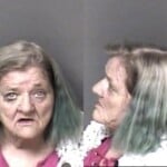 Shelbey Graham Breakenter