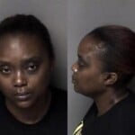 Laketta English Felony Hitrun Serious Injurydeath Fail Maintain Lane Control