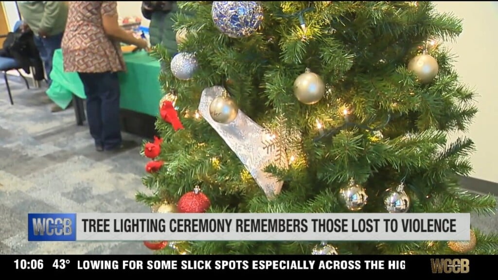 Tree Lighting Ceremony Remembers Those Lost To Violence