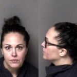 Kimberly Ligouri Misd Crime Of Dom Violence