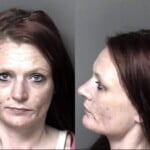 Tammy Chapman Cocaine Traffick Traffic Methamphetamine Sch Ii Possess Simple