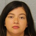 Greysi Benitez Larceny Of Motor Vehicle