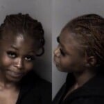 Tiashia Ingram Assault Simple