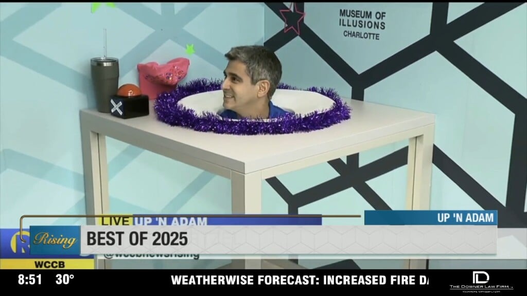 Best Of Up 'n Adam 2025