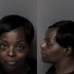 Shirley Dukes Awdwikisi