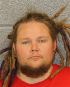 David Gantt Breaking And Entering Motor Vehicle