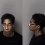 Michelle Townsend Dwi Dwlr Not Impaired Rev