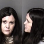 Lucinda Davidsoncarry Concealed Weapon Possess Drug Paraphernalia