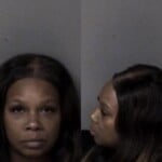 Stephanie Hannondriving While Impaired Child Abuse Reckless Driving Wanton Disregard