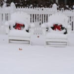 Us Extreme Weather Illinois