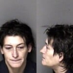 Brenda Carr Failure To Appear Misdemeanor Sch Ii Possess Possess Drug Paraphernalia