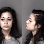 Rebecca Dimmer Larceny Firearm