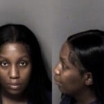 Jennifer Brower Failure To Appear Misdemeanor