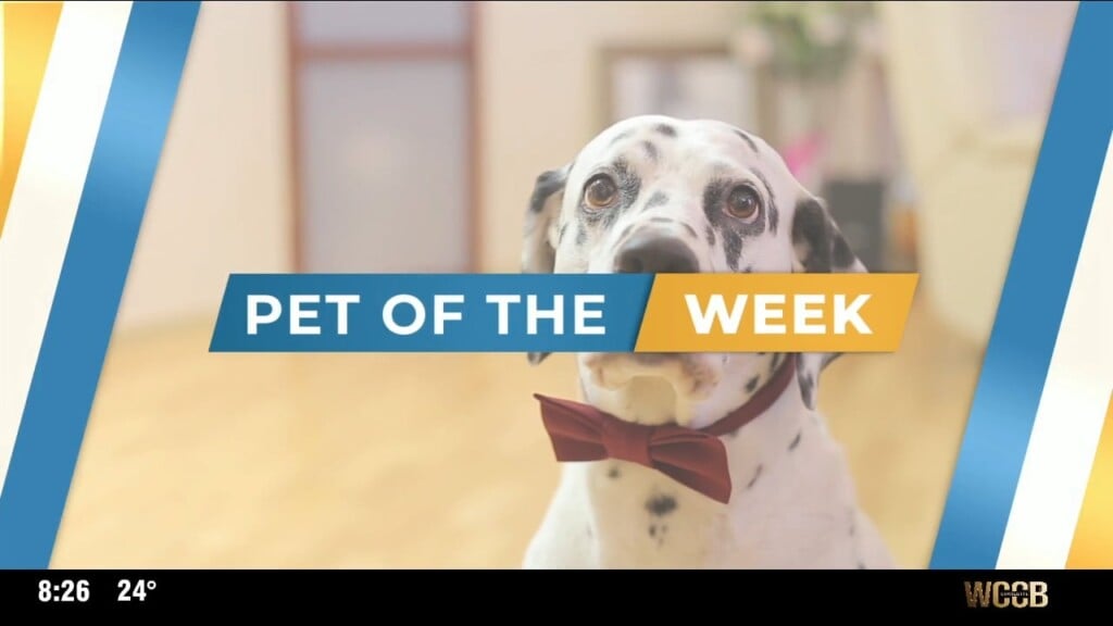 Pet Of The Week