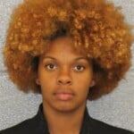 Tierra Rollins Larceny Shoplifting