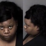 Adavia Galloway Assault Simple