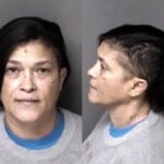 Cynthia Mcdonald Possess Stolen Firearm Firearm Carry Concealed