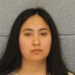 Alondra Hernandezpineda No Operators License Operate Veh No Ins Drallow Reg Plate Not Display Driveallow Mv No Registration