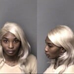 Dastina Myers Finanicial Identity Fraud Obtain Property False Pretense Resist Public Officer