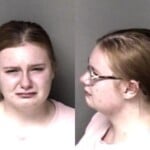 Ivy Meyer Assault Simple