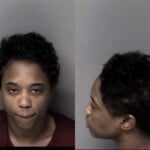 Laurie Wilson Interfere Elect Monitor Dev Failure To Appear Misdemeanor