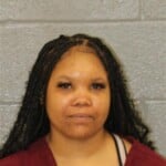 Erica Nesbit Resisting Public Officer