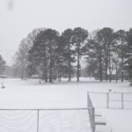 Pxl 20260131 164217789