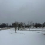 1f3c88b1 2ea3 420a 810f C6f8caac075a