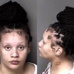 Antonia Artison Larceny Misdemeanor