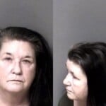 Carol Williams Misd Crime Of Dom Violence