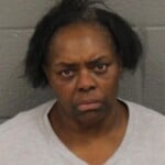 Renee Ludvig Simple Assault Crime Of Domestic Violence