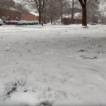 Screenshot 2026 01 31 At 90439am