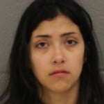 Alexandra Fuentes Domestic Violence Simple Assault
