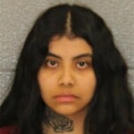 Geraldyn Meza Castro Larceny