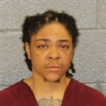 Leila Harrison Resisting Officer Failure To Report Accident Driving While License Revoked