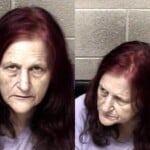 Lisa Bonaguro Failure To Appear Misdemeanor Possess Stolen Property