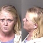 Lisa Jennings Possess Schedule Ii Controlled Substance Assault On Government Official Resist Public Officer